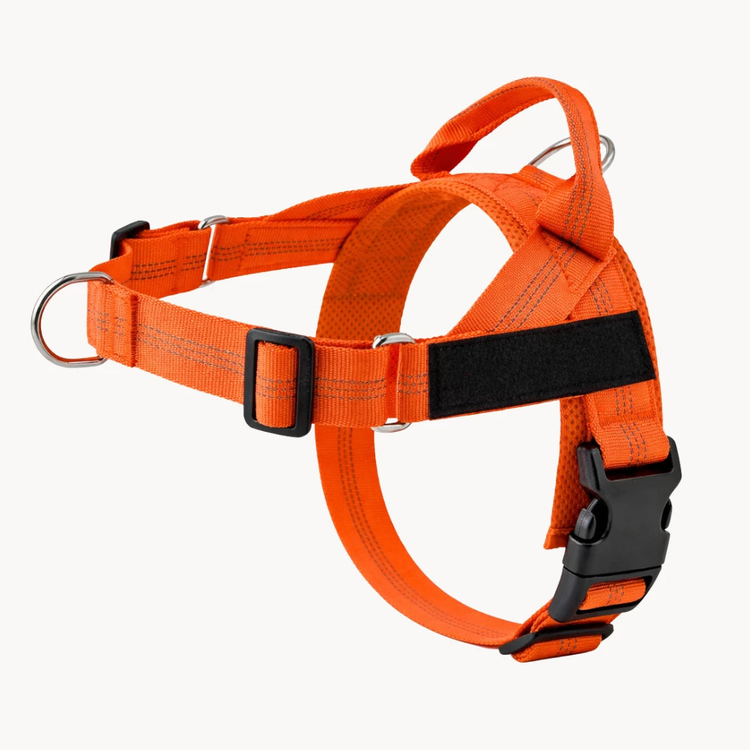 NORYVI No-Pull Hundegeschirr - Orange