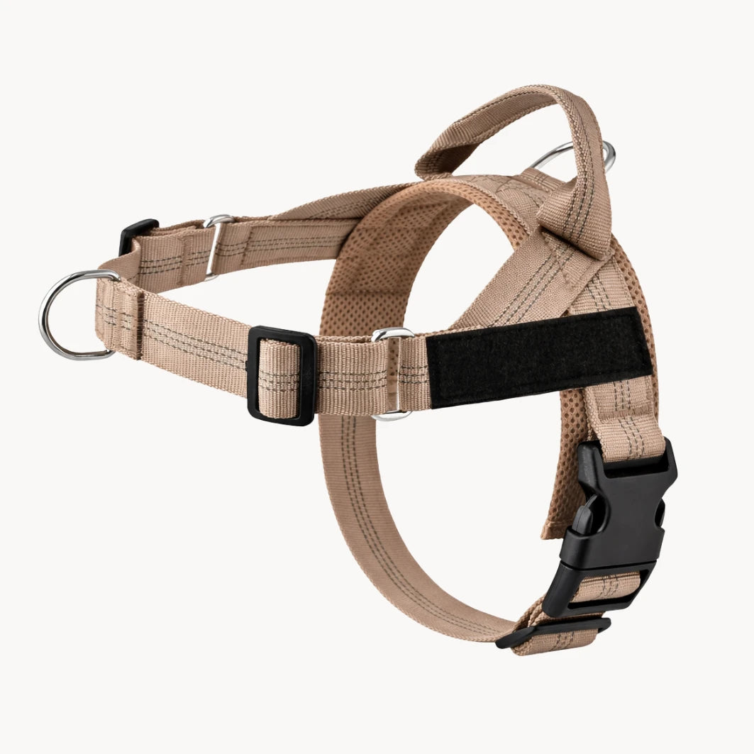 NORYVI No-Pull Hundegeschirr - Beige