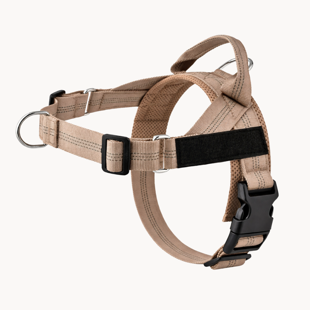 NORYVI Anti-Zug Hundegeschirr - Beige