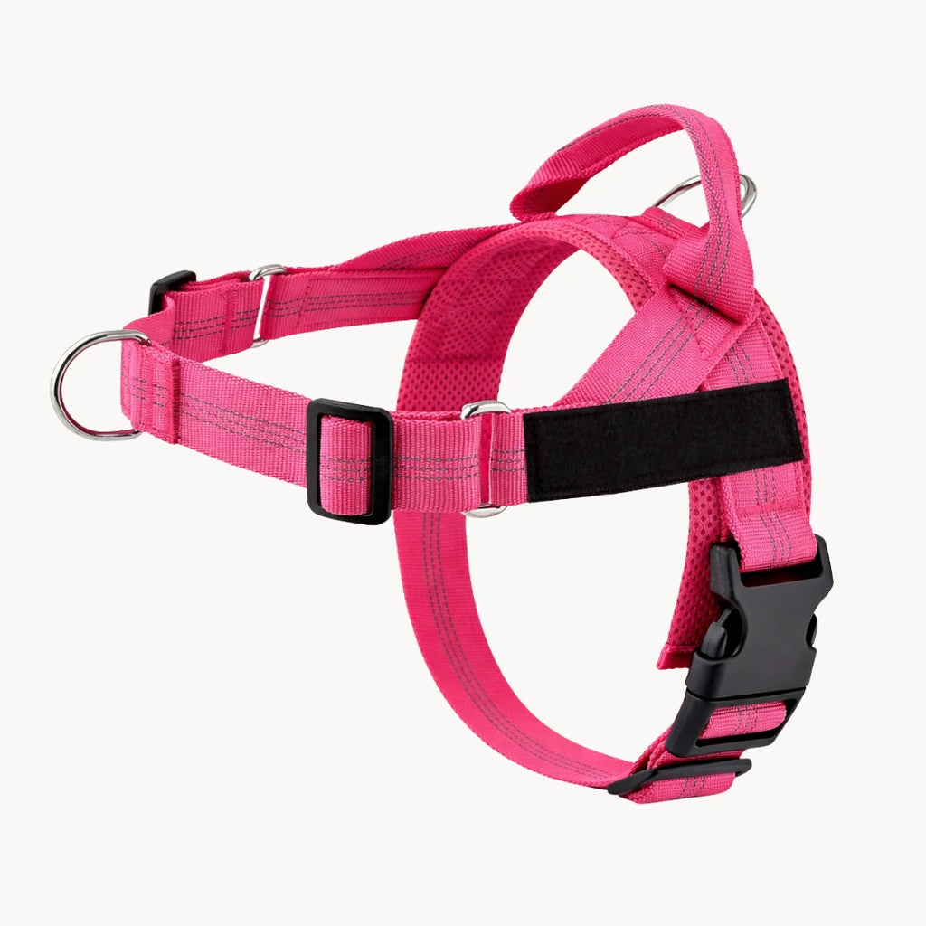 NORYVI No-Pull Hundegeschirr - Pink