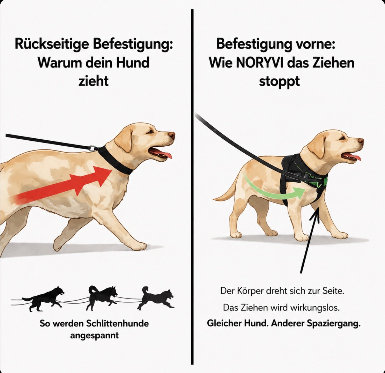 NORYVI Anti-Zug Hundegeschirr