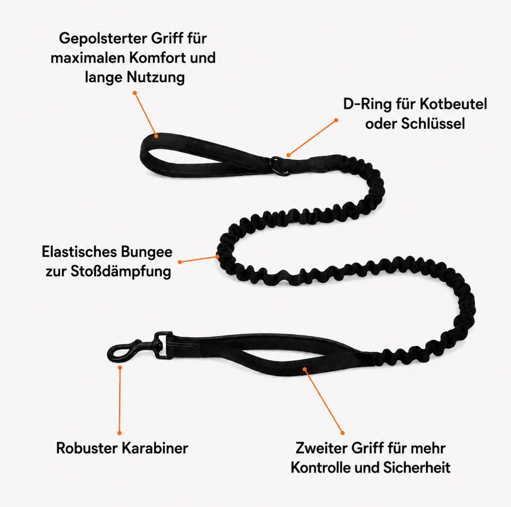 NORYVI Anti-Zug Hundegeschirr