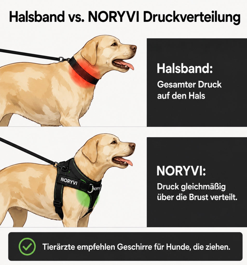 NORYVI Anti-Zug Hundegeschirr