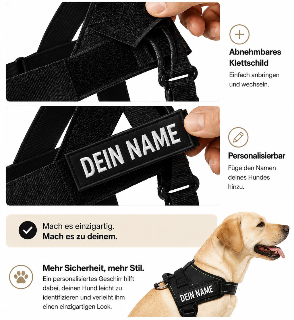 NORYVI Anti-Zug Hundegeschirr